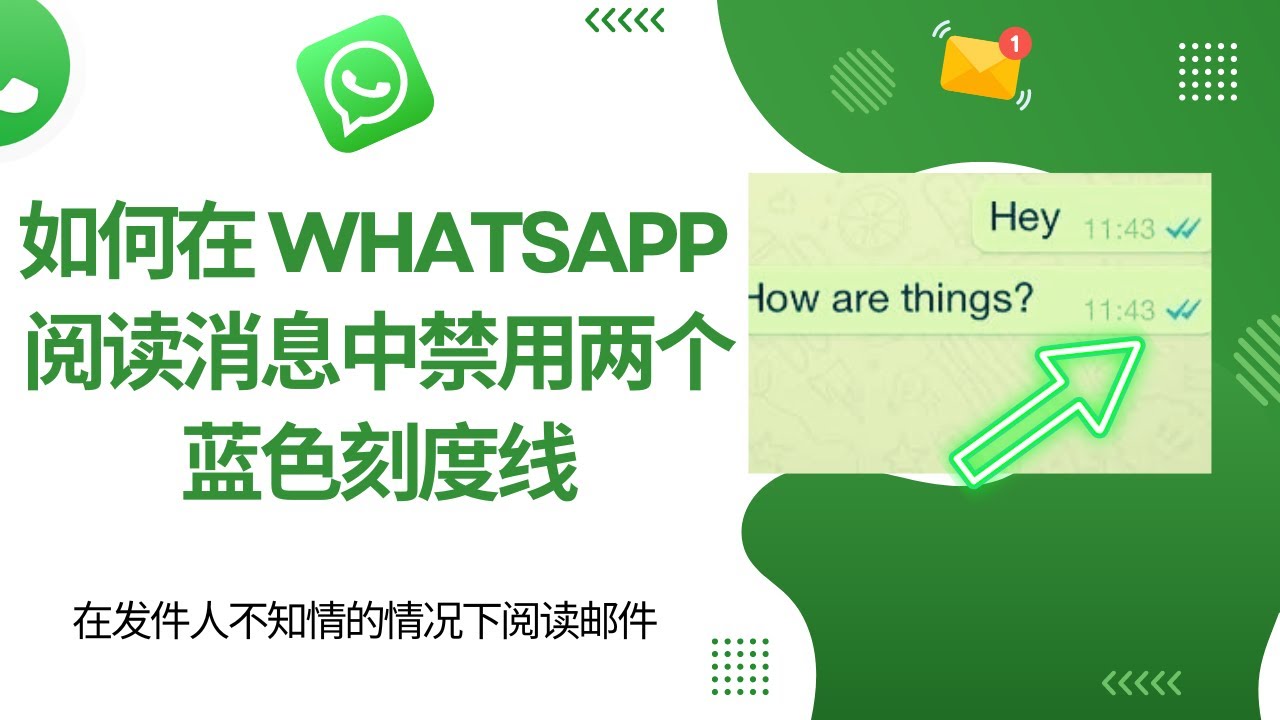 为什么WhatsApp没有蓝勾？