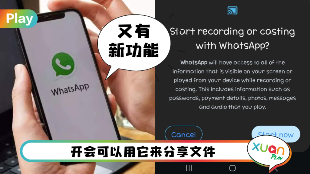 WhatsApp怎么分享文件？